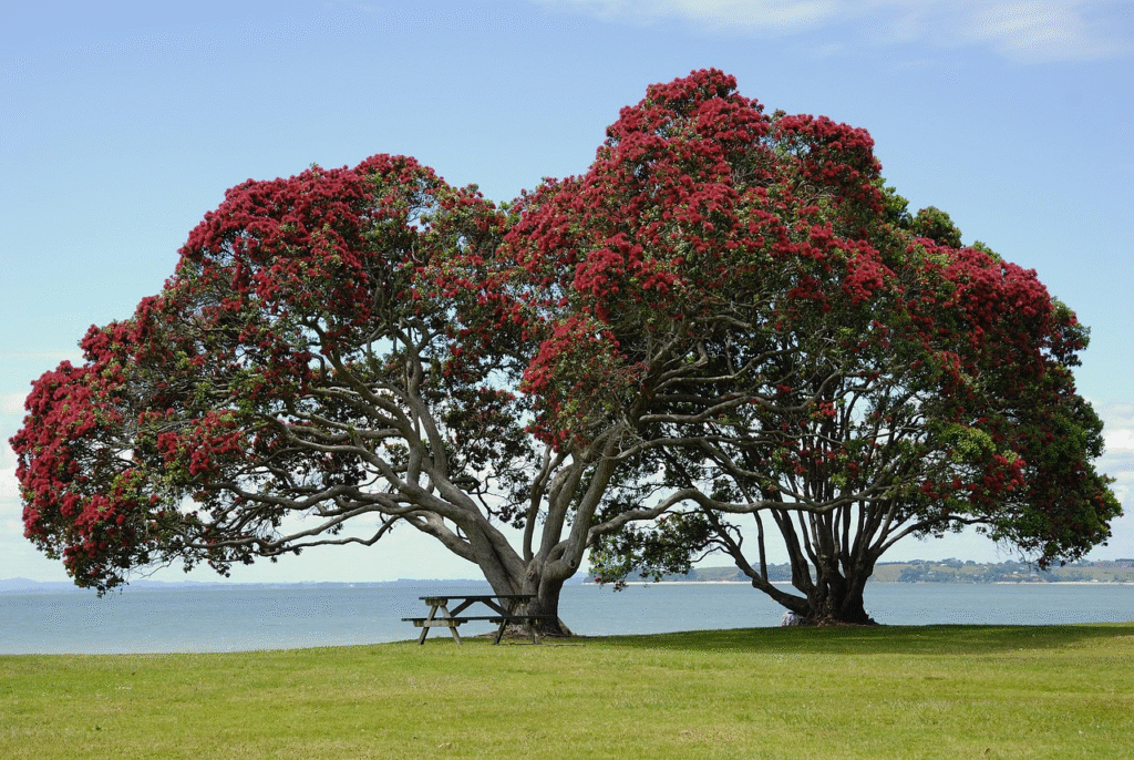 Best 50 Places to Travel in 2025