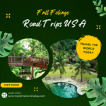 Fall Foliage Road Trips USA